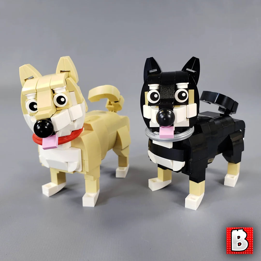 Shiba Inus!