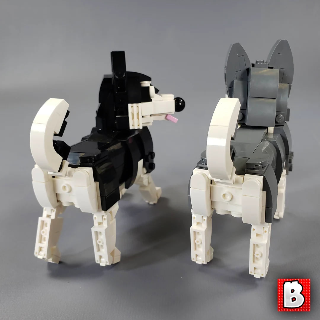 Huskies!