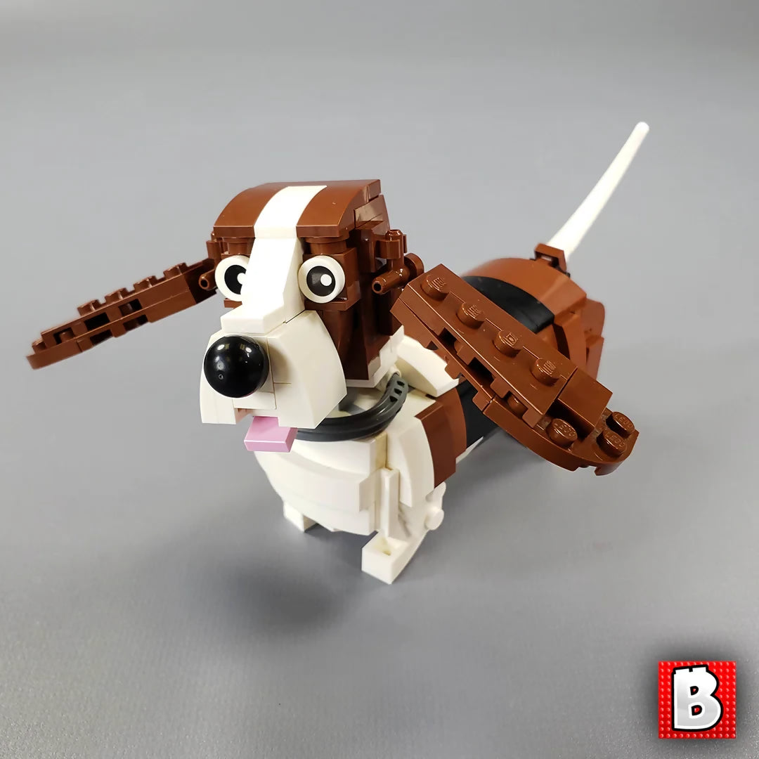 Basset Hounds!