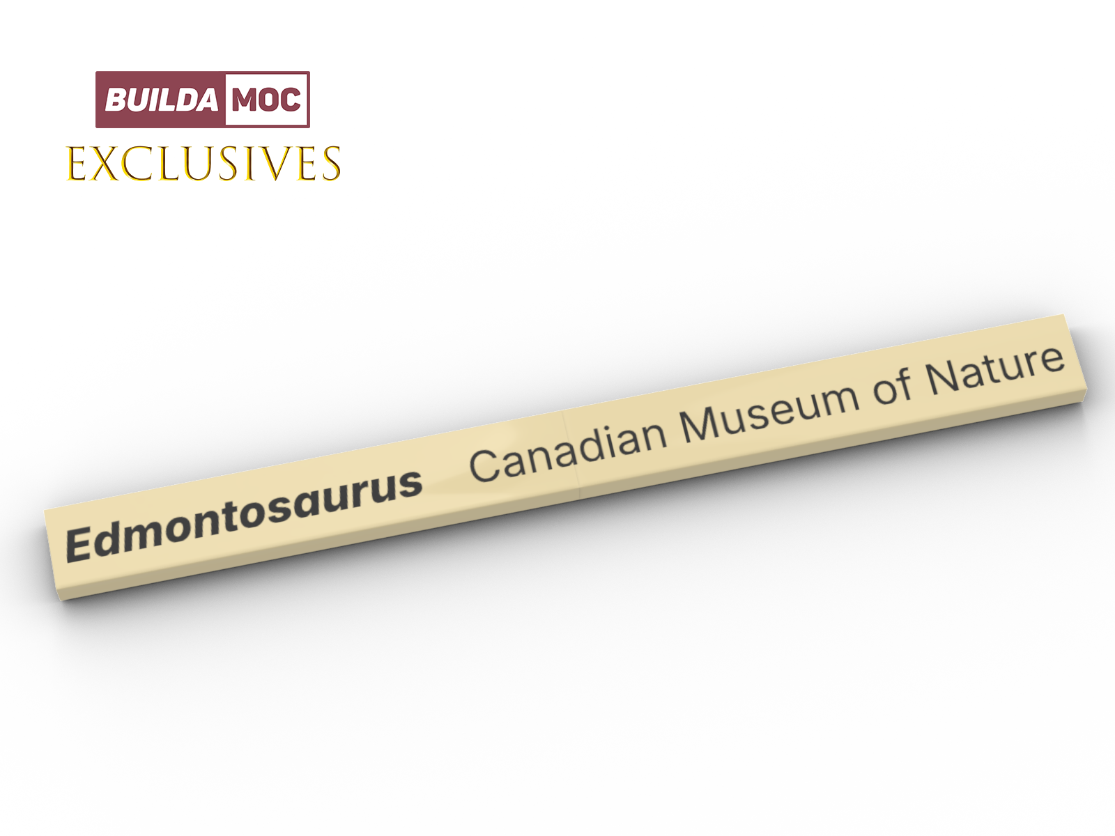 Hadrosaur Fossil