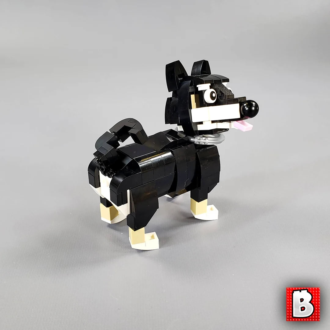Shiba Inus!