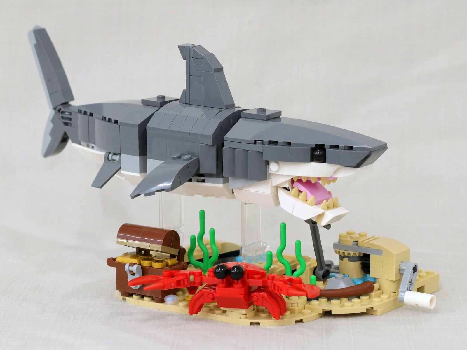 Swimming Fierce Shark