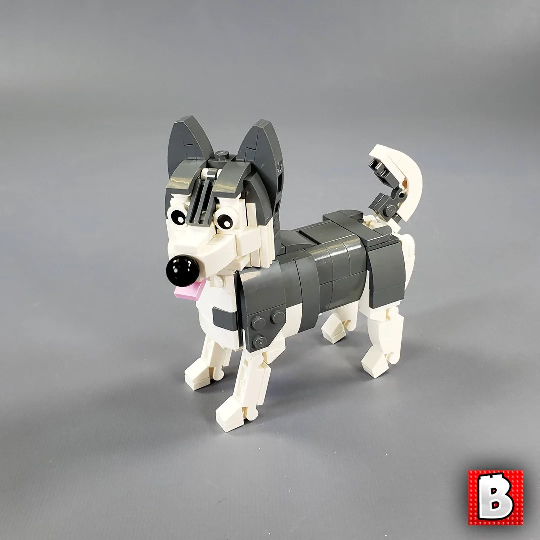 Huskies!