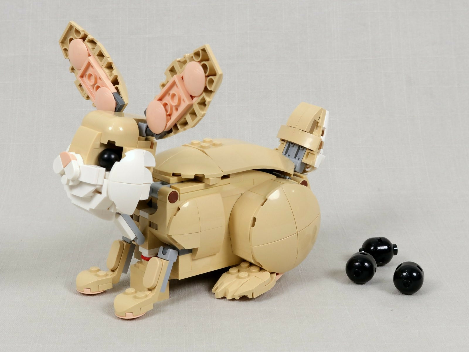 poopBunnyMain