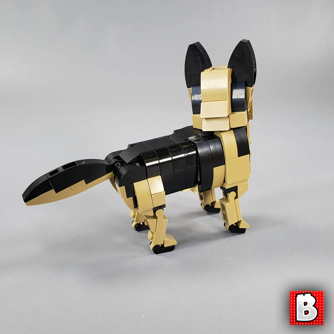 German Shepherd!