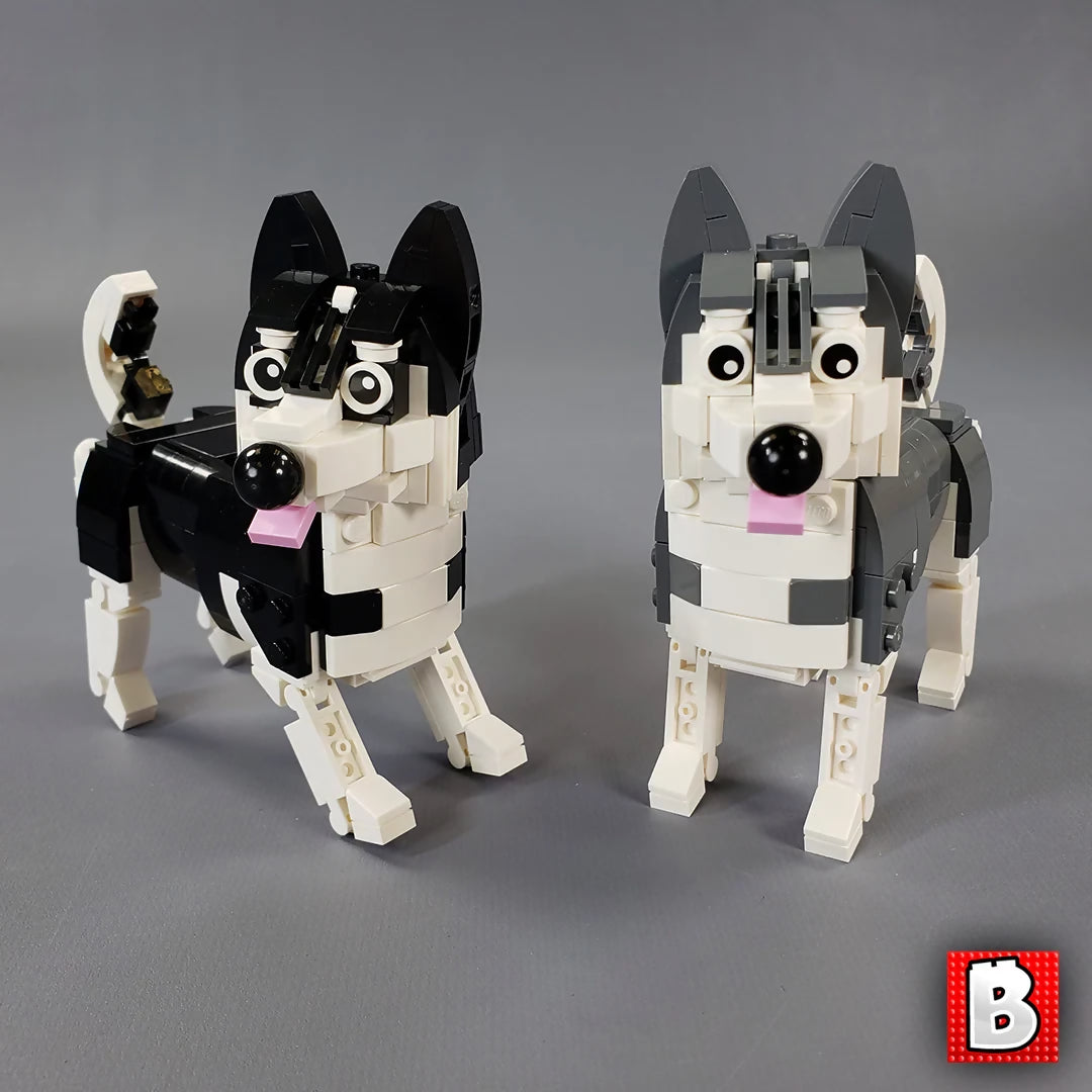 Huskies!