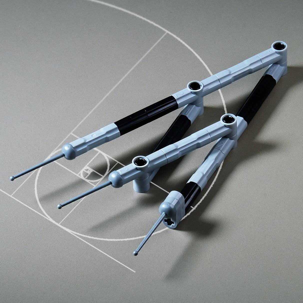 A Sequência de Fibonacci na Natureza, image size:1213x1213