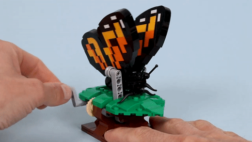 Butterfly - BuildaMOC