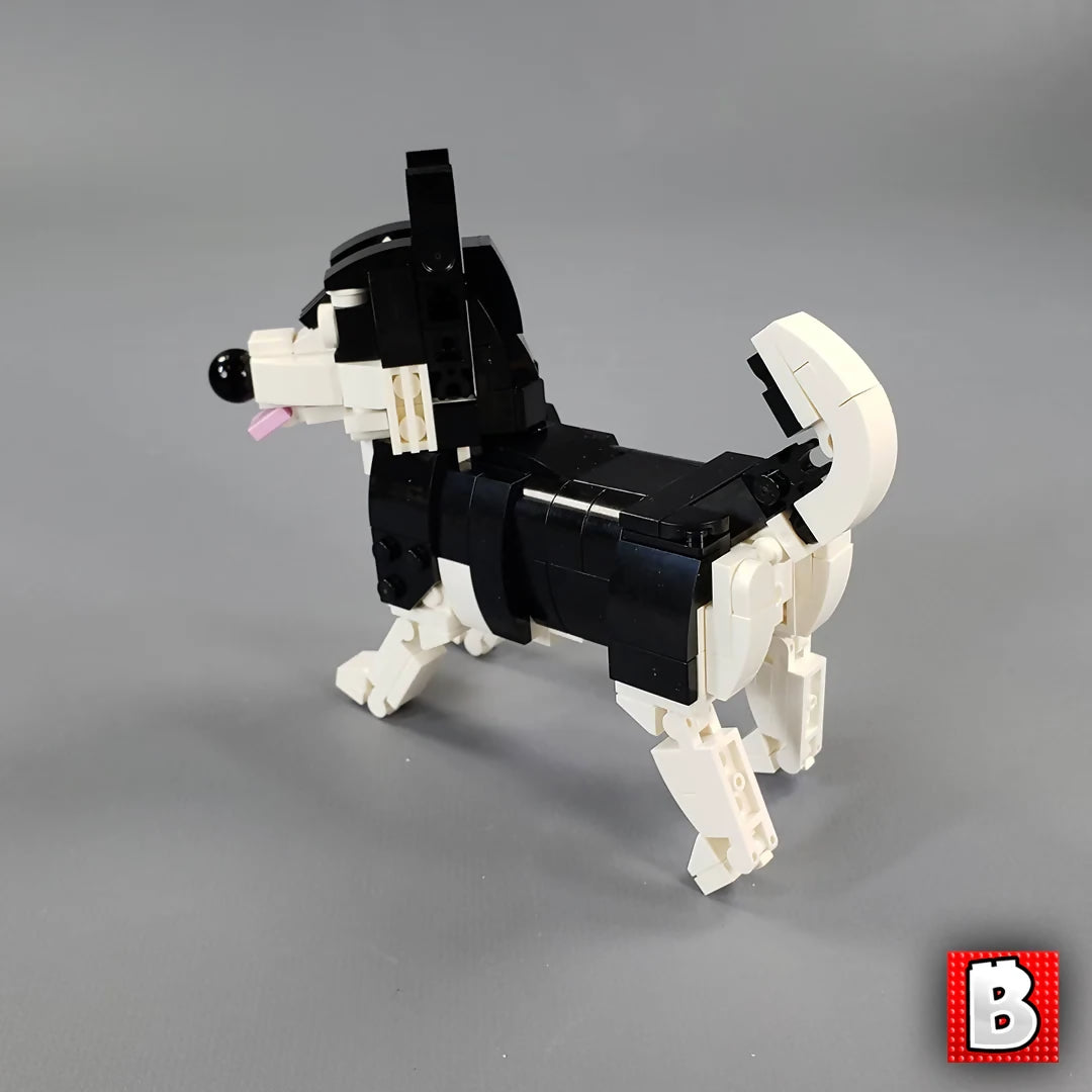 Huskies!