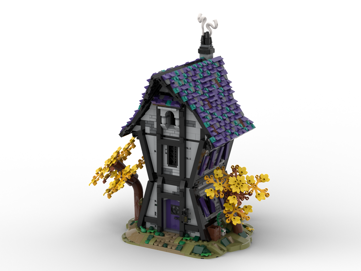 Witches' House_24