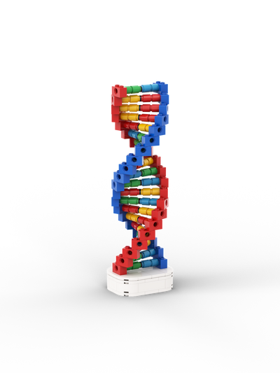 DNA Helix Kit