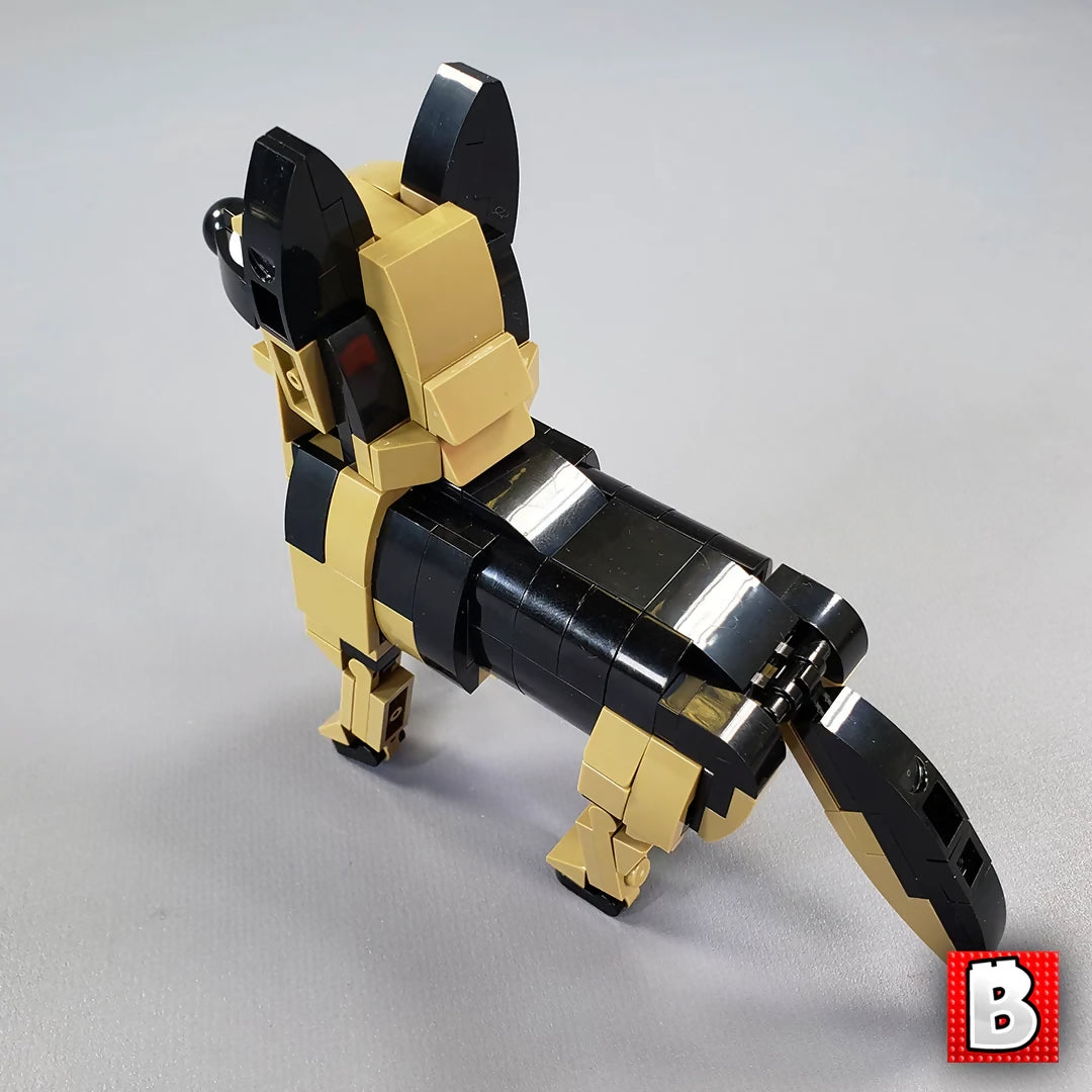 German Shepherd!
