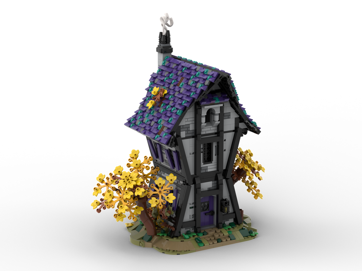 Witches' House_23