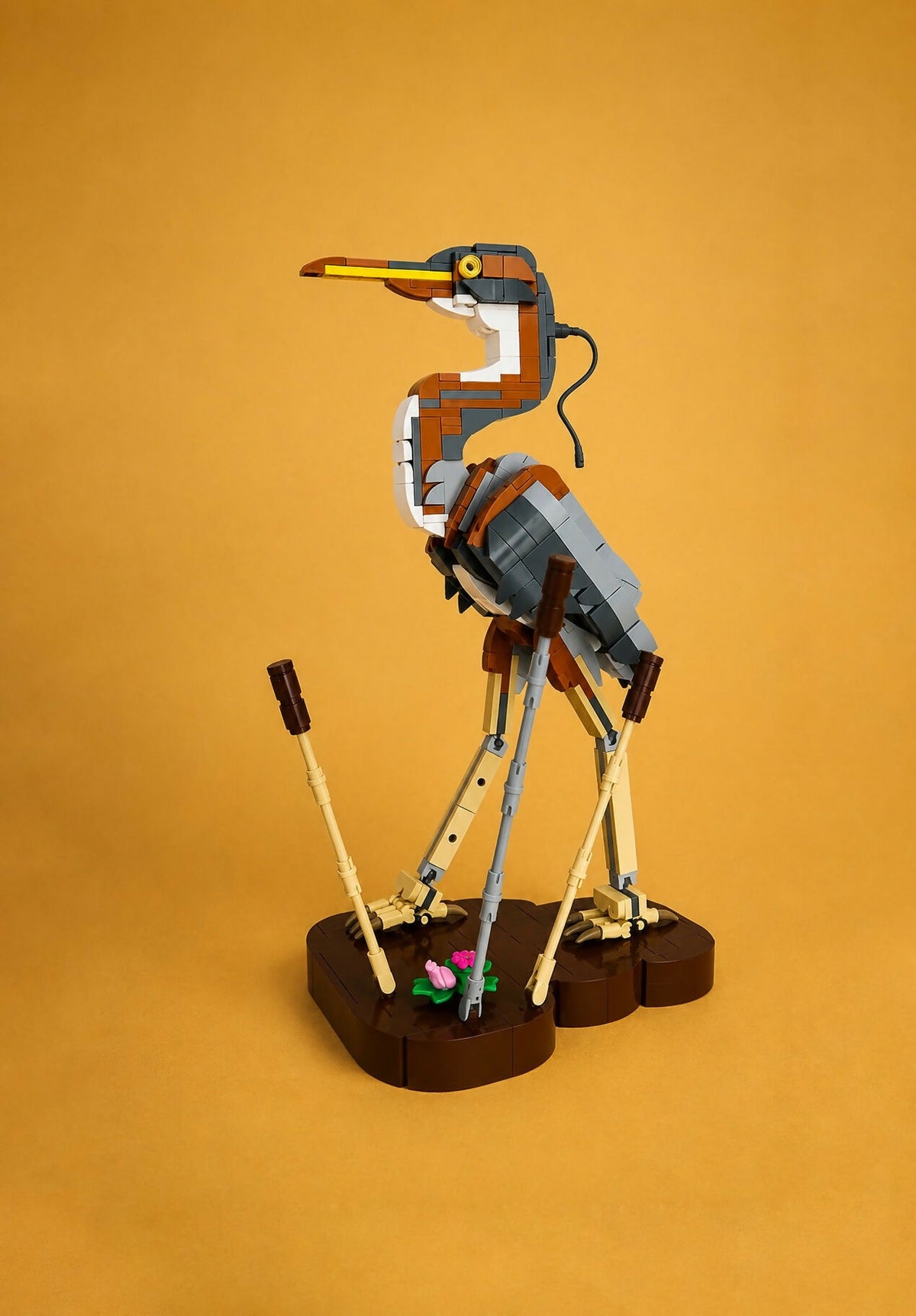 Purple heron