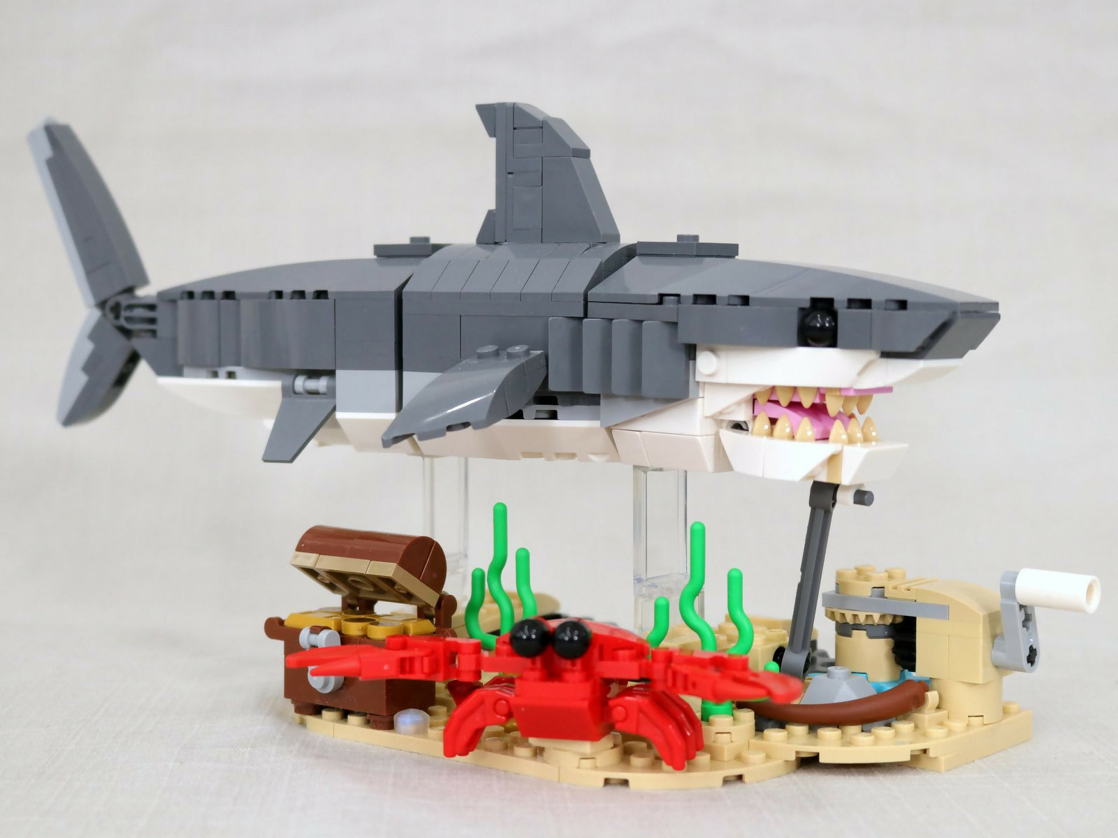 Swimming Fierce Shark