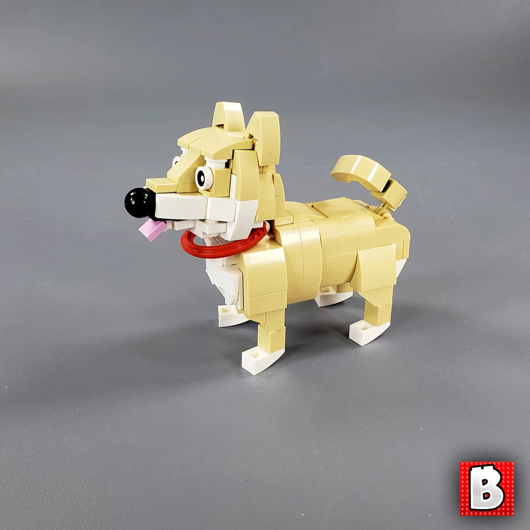 Shiba Inus!
