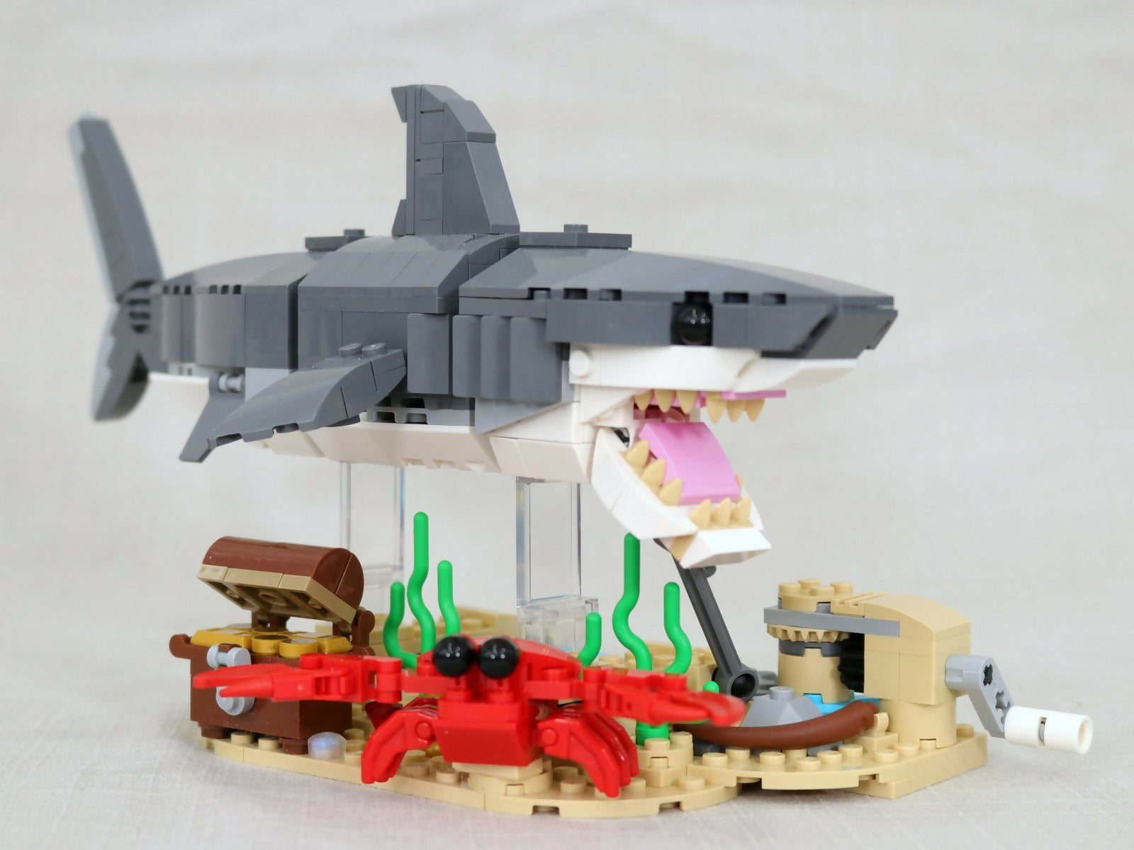 Swimming Fierce Shark