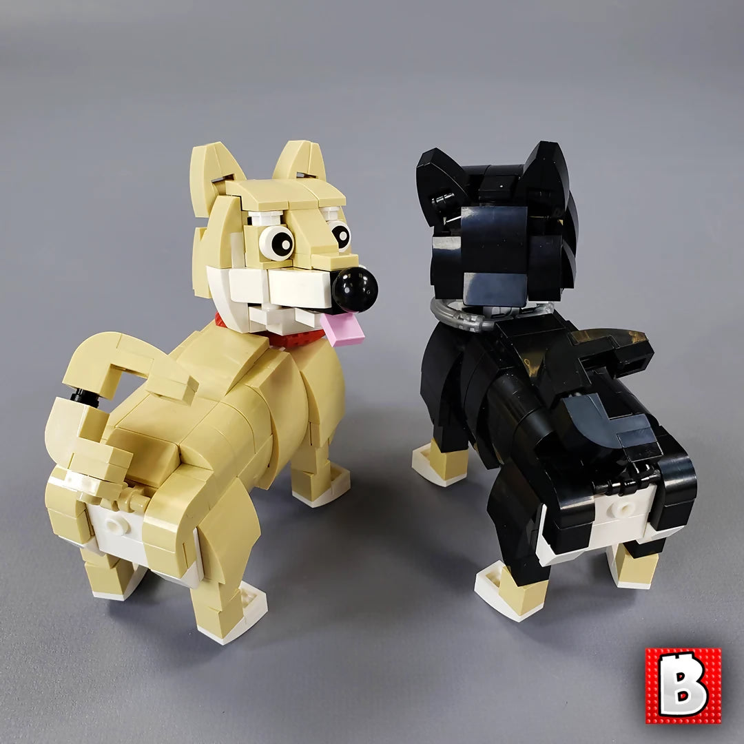 Shiba Inus!