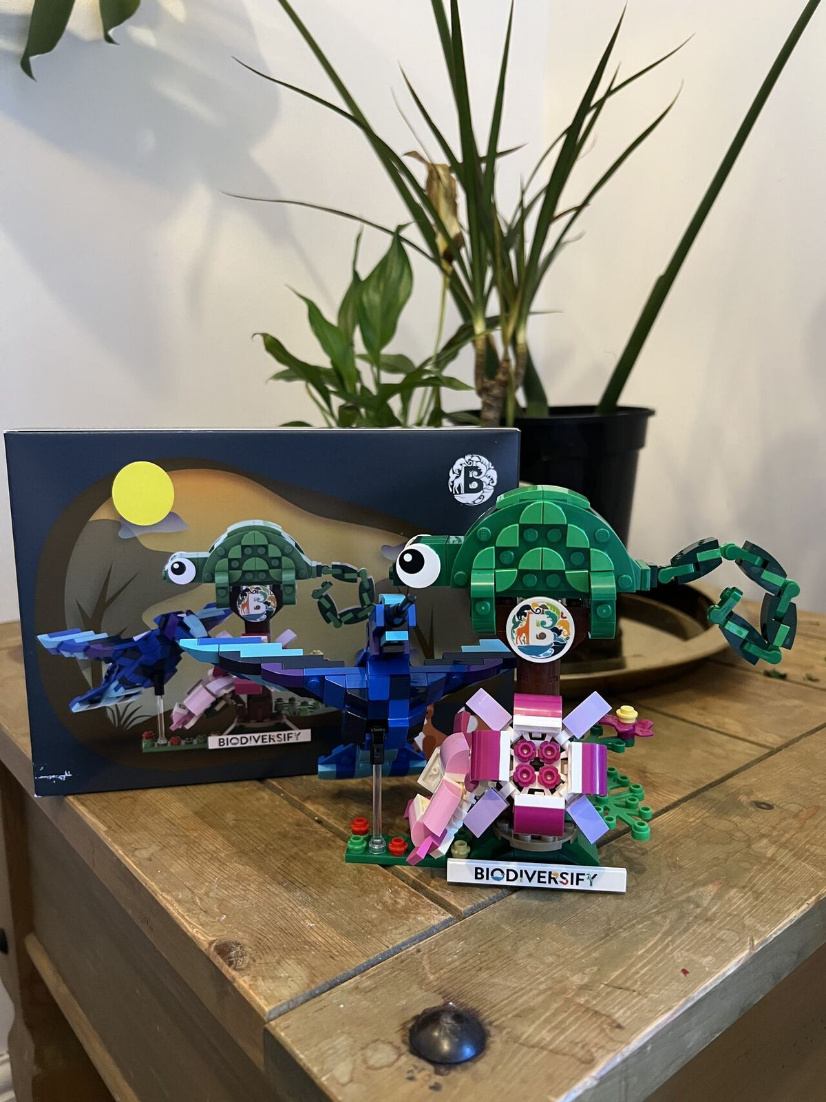 Biodiversify Biodiversity Kit, the assembled model beside its printed booklet