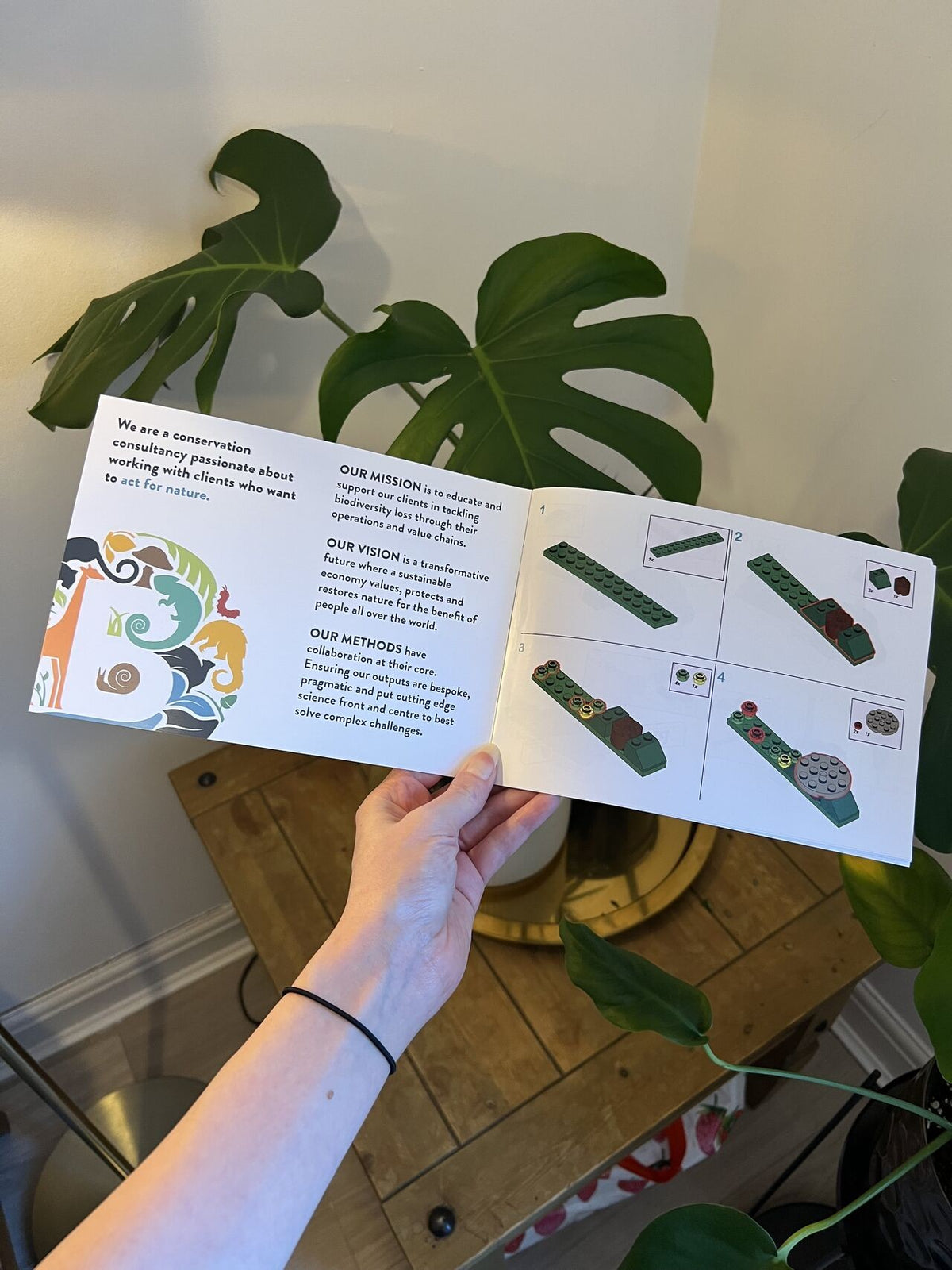 Biodiversify Biodiversity Kit, the open booklet with Biodiversify information and building steps