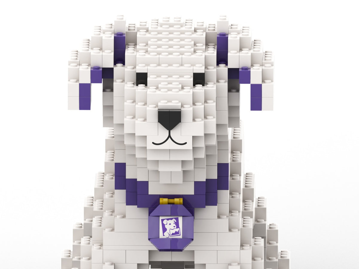 Colección de mascotas de Datadog, detalle del proyecto