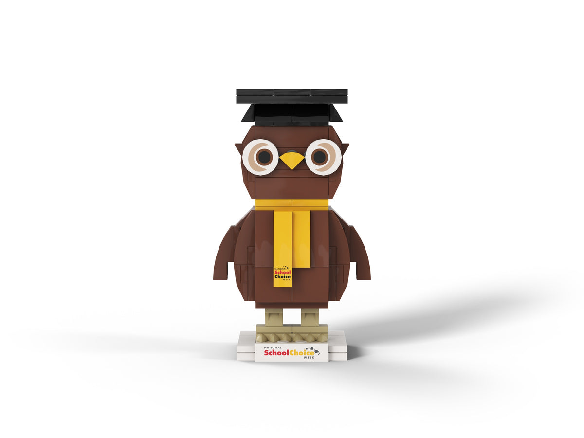 National School Choice Owlbert Kit - project gallery, view 1
