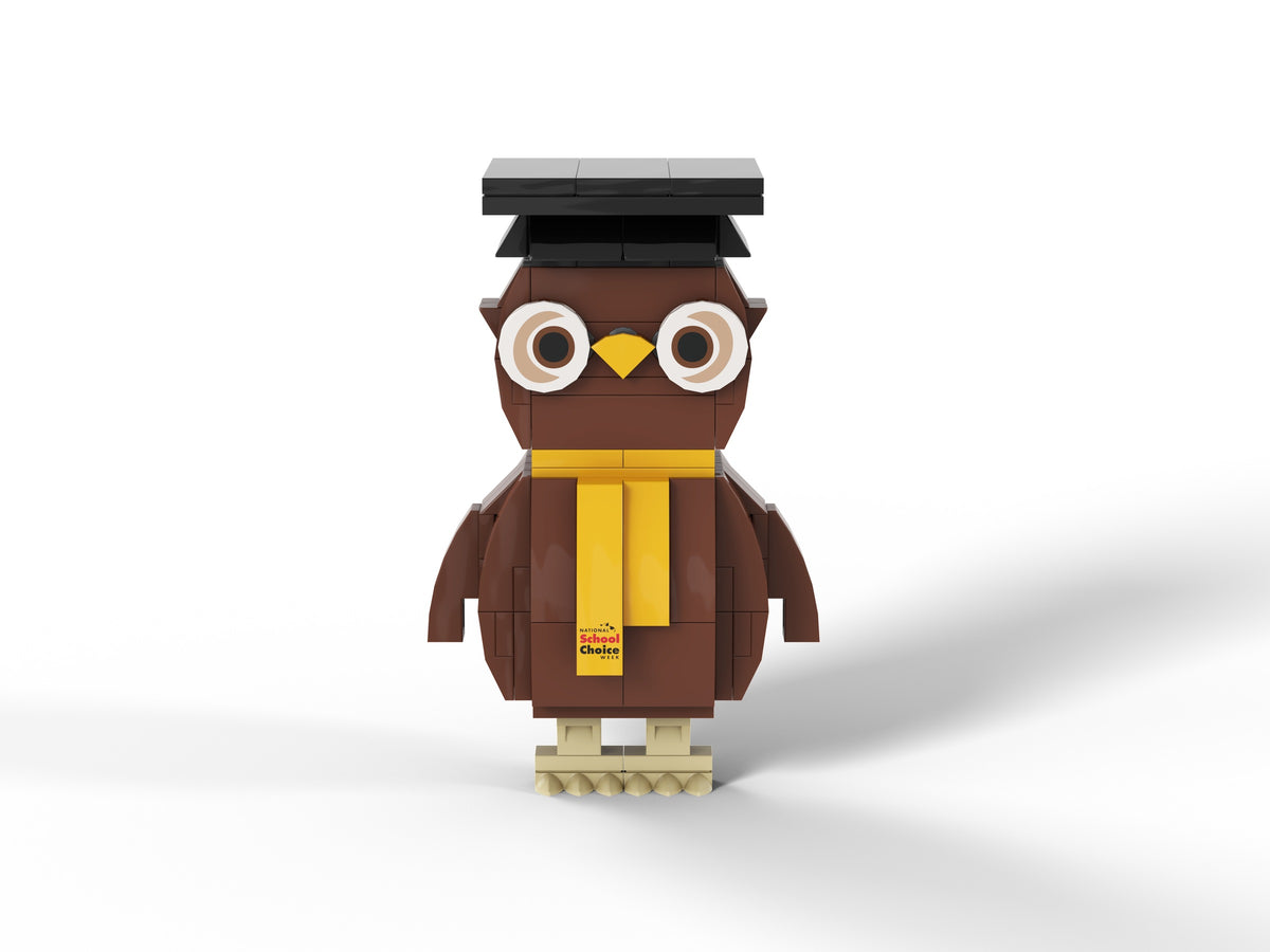 National School Choice Owlbert Kit - project gallery, view 3