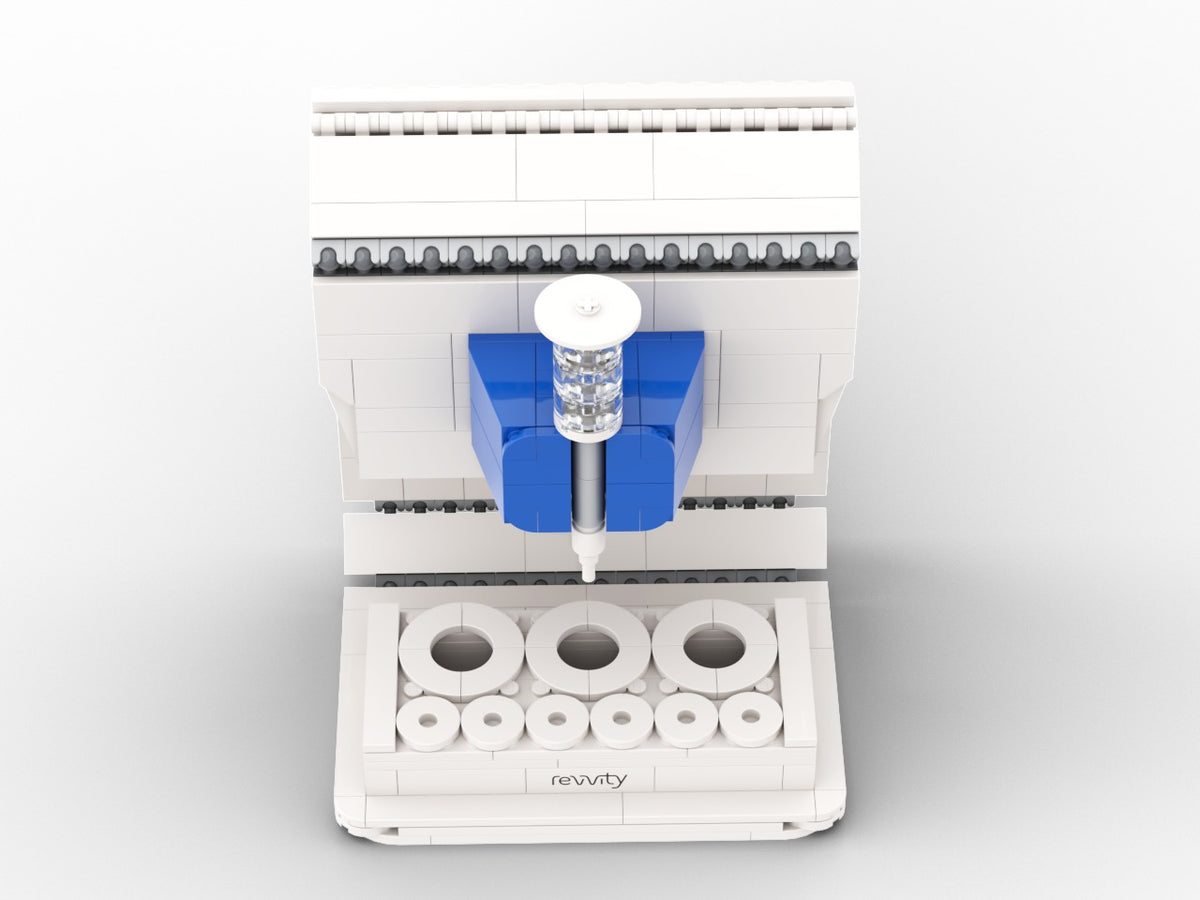 Hanna, view of the custom brick model
