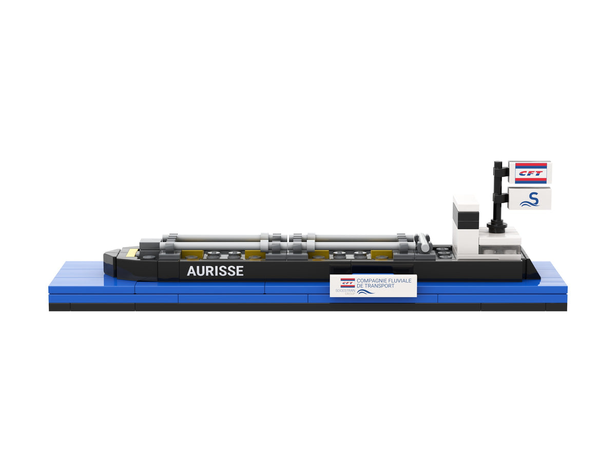 Aurisse, view of the custom brick model