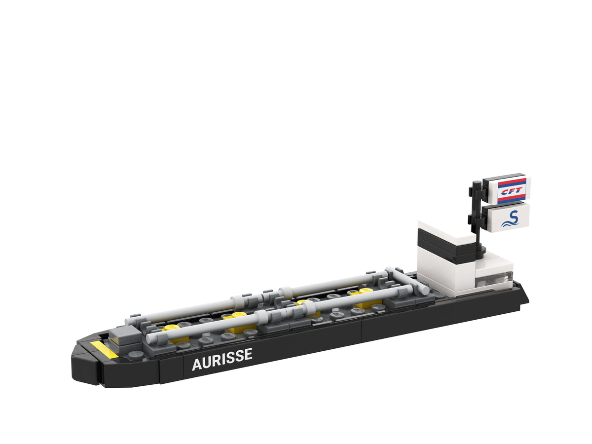 Aurisse, view of the custom brick model