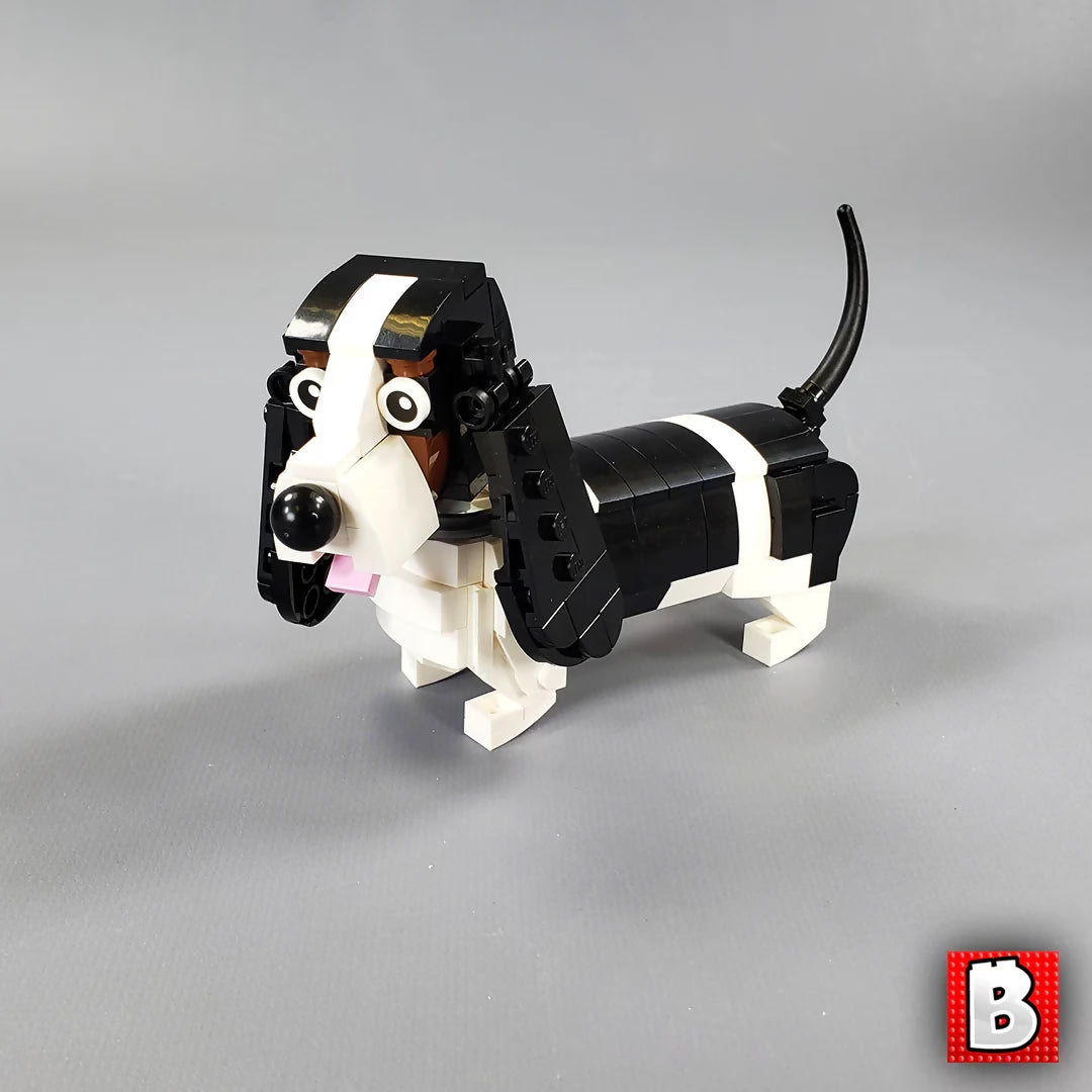 Basset Hounds!