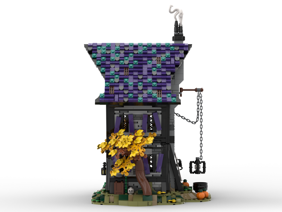 Witches' House_28