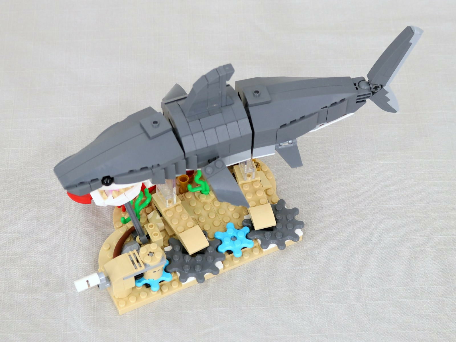 Swimming Fierce Shark