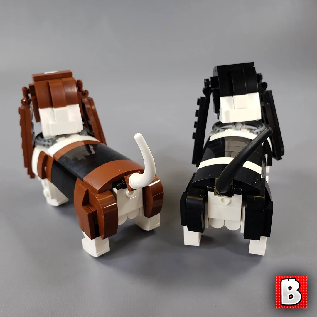 Basset Hounds!