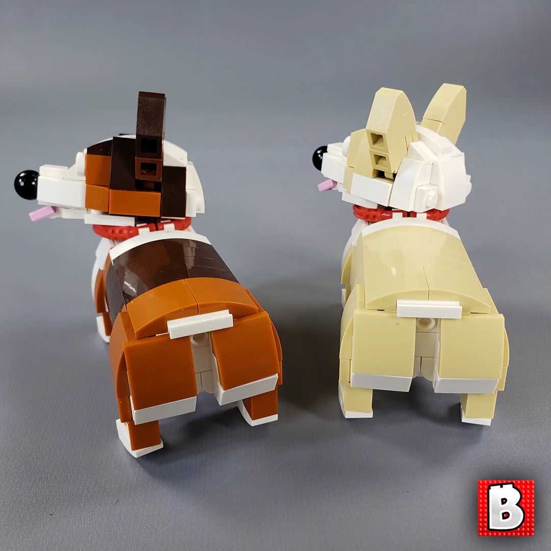 Corgies!