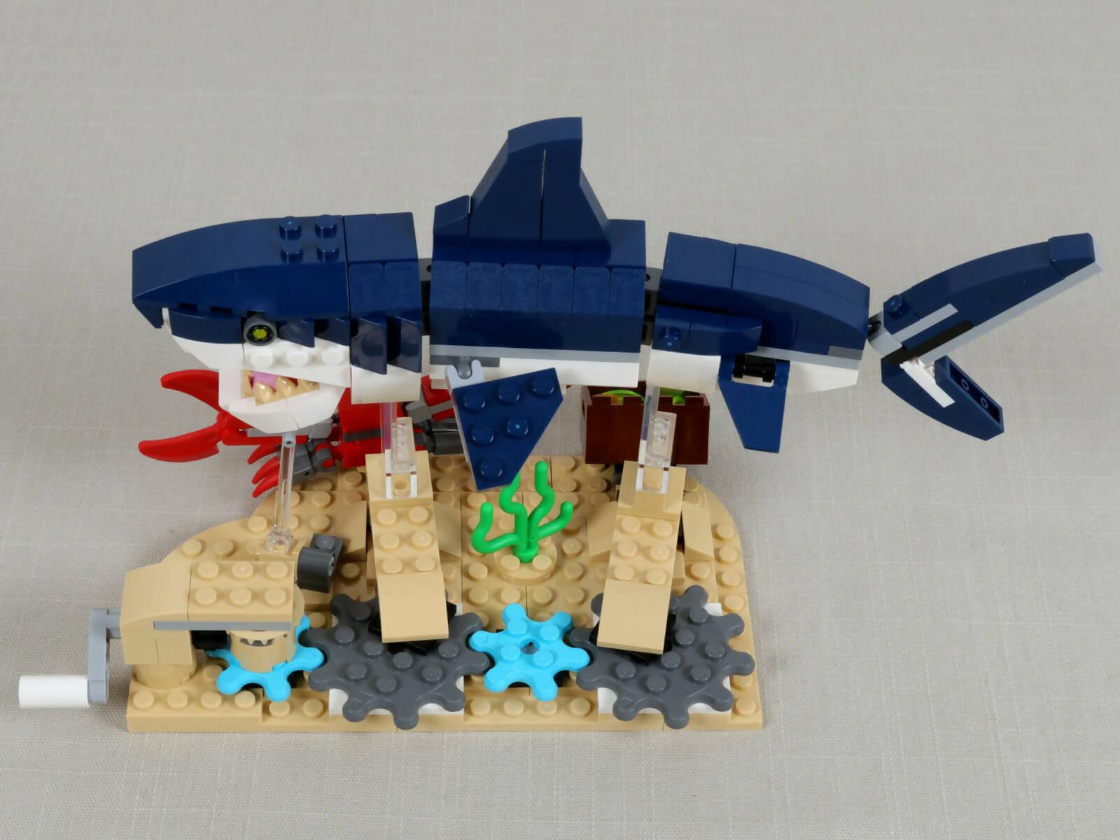 Swimming Shark - Main Image